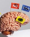 GOT L-THEANINE ON THE BRAIN? GOT L-THEANINE ON THE BRAIN?