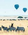 KENYA LAND OF UNMARKED MODERNITY KENYA LAND OF UNMARKED MODERNITY