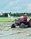 'Agri sector undergoes great transformation in past 11 yrs' 'Agri sector undergoes great transformation in past 11 yrs'