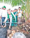 Harish Rao slams Cong for neglecting palm oil cultivation Harish Rao slams Cong for neglecting palm oil cultivation