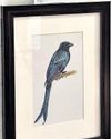 Avian life caught on canvas at painting expo in Dakshinachitra Avian life caught on canvas at painting expo in Dakshinachitra