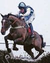 Big Boy Bobby can win the Swinton Hurdle at Haydock Big Boy Bobby can win the Swinton Hurdle at Haydock