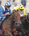 Alyanaabi is one to beat in the John Of Gaunt Stakes Alyanaabi is one to beat in the John Of Gaunt Stakes