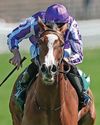 MINNIE AN OAKS MUST FOR RYAN70