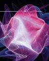 Popular Mechanics US