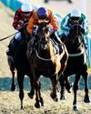 TOP TRIO GO FLAT OUT FOR ALL-WEATHER SUCCESS TOP TRIO GO FLAT OUT FOR ALL-WEATHER SUCCESS