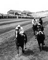 STEADFAST ON DOWNS