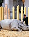 Training techniques for zoo animals could have benefits for horses Training techniques for zoo animals could have benefits for horses