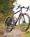 Guava Spot Force AXS Guava Spot Force AXS