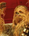 WOOKIEE IN THE HOLE Viz